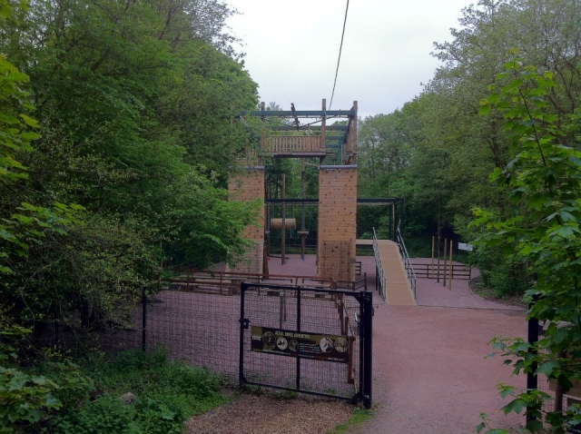 Our course in the lush trees